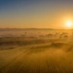 resized_16_api